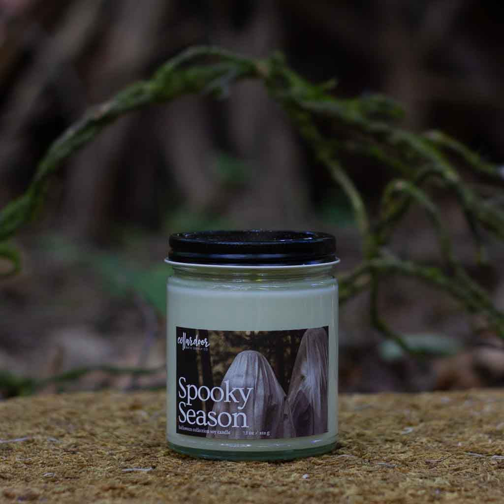 Spooky Season - 7.5 oz Soy Candle