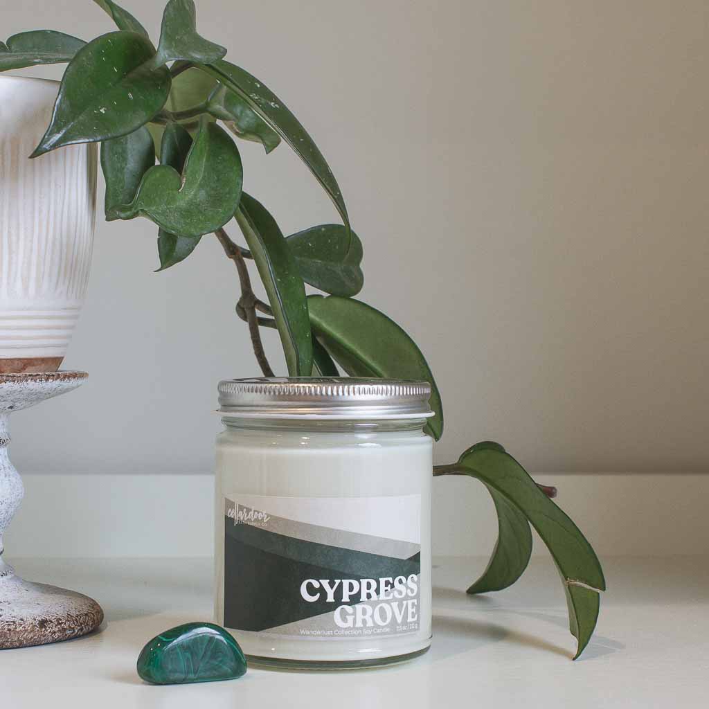 Cypress Grove - 7.5 oz Soy Candle